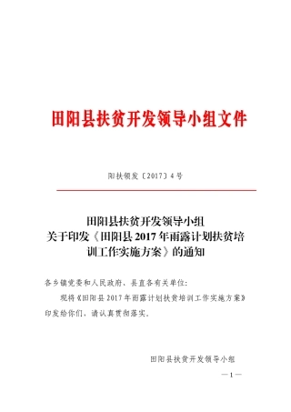 田阳扶贫开发领导小组文件
