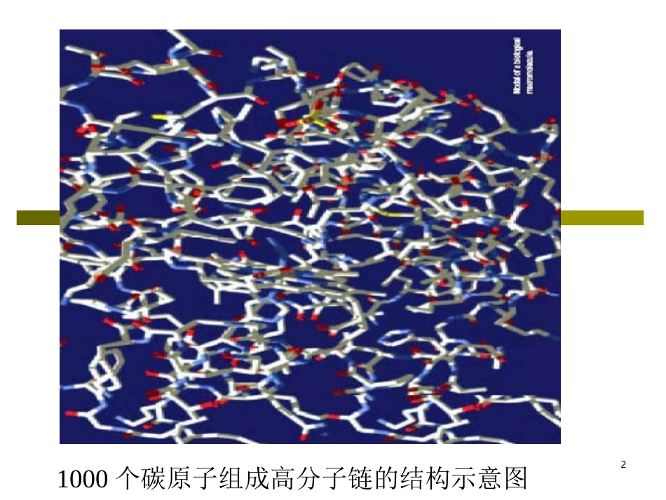 高分子链的结构_第2页