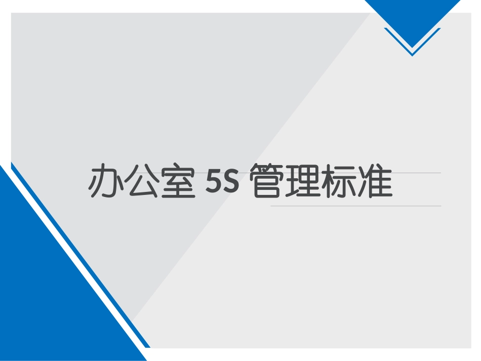 新办公室5S管理标准_第1页