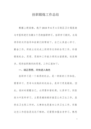 挂职锻炼工作总结