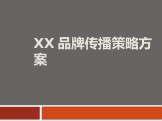 品牌策划方案-(改个名称即可使用)