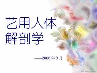 艺用人体解剖学