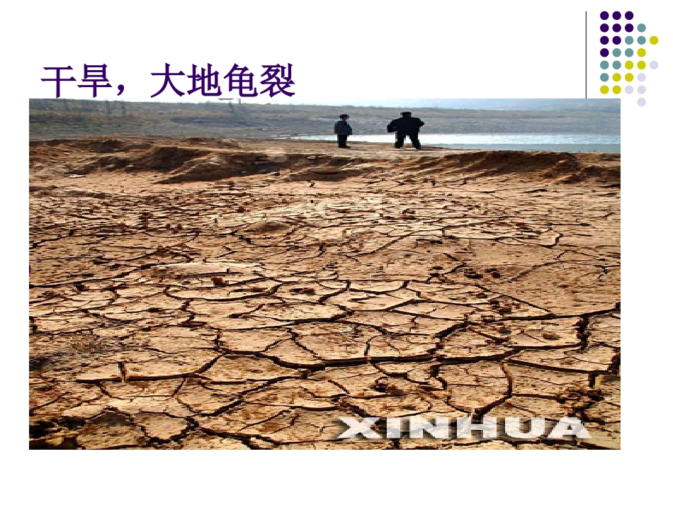 建议书教学课件_第3页