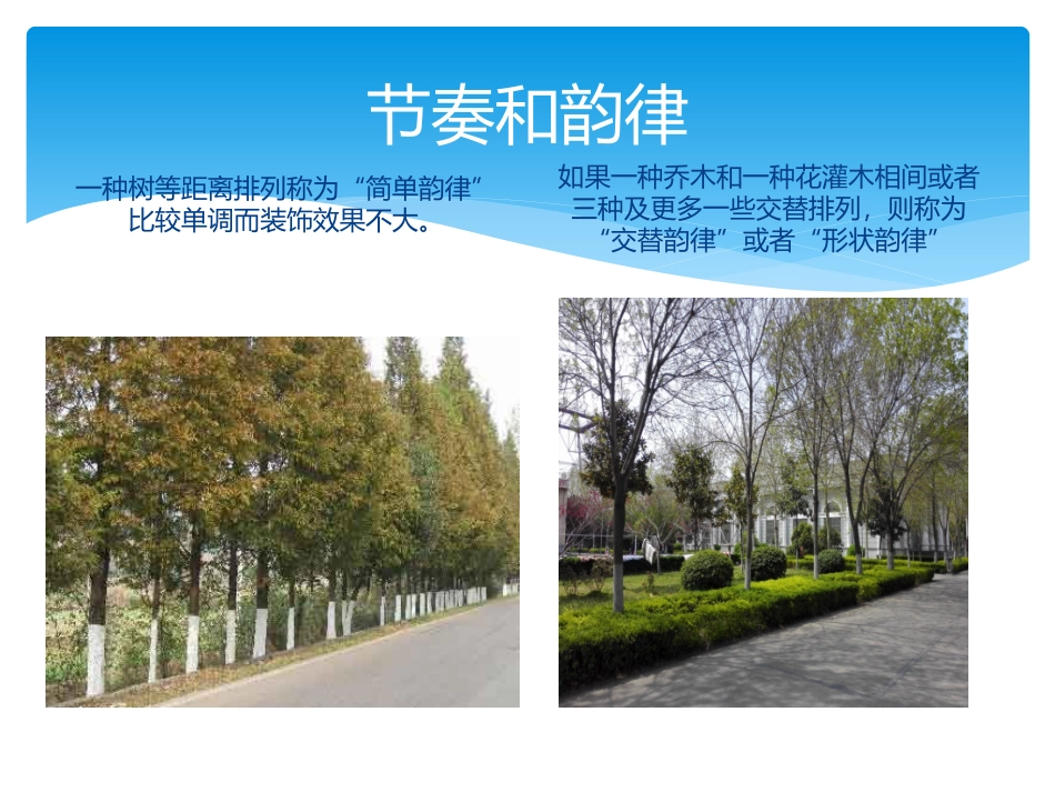 园林植物的美学功能_第3页