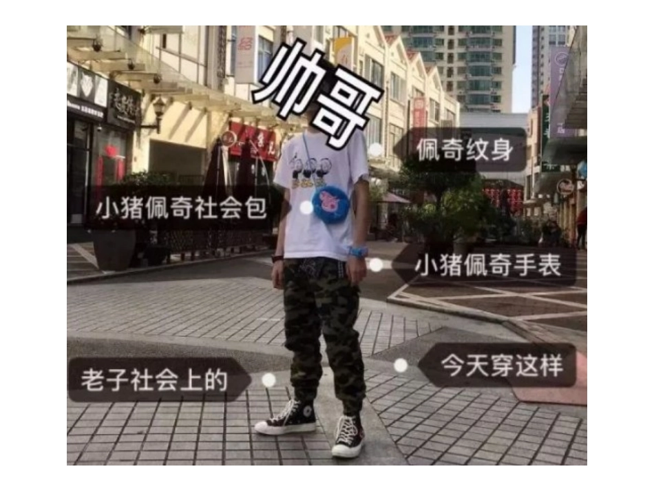 对小猪佩奇社会人的探讨_第3页