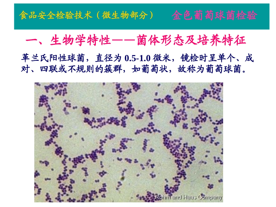 金黄色葡萄球菌检验PPT_第3页