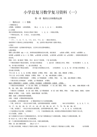 人教版小学六年级总复习数学复习资料小升初