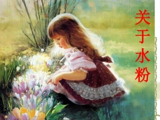 水粉画课件1