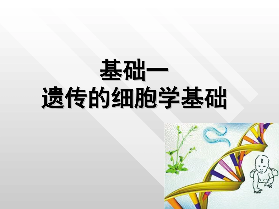 基础一遗传的细胞学基础_第1页
