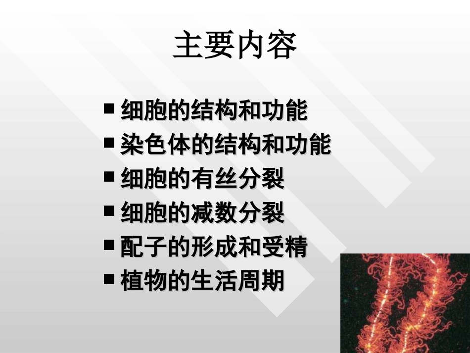 基础一遗传的细胞学基础_第2页