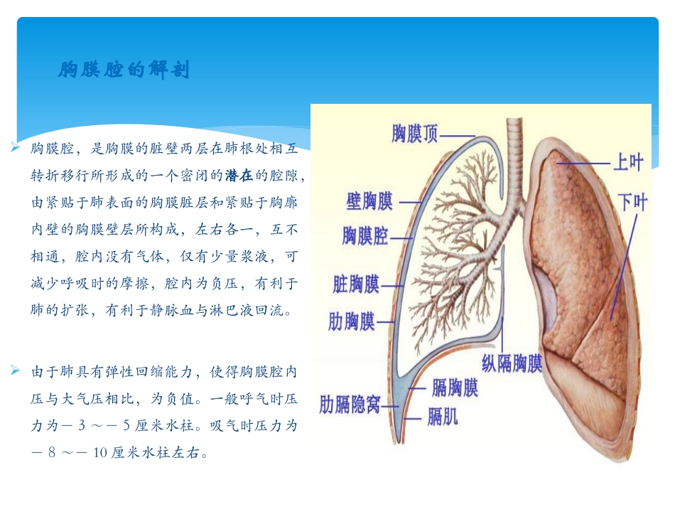 胸腔穿刺术 实用讲解_第3页