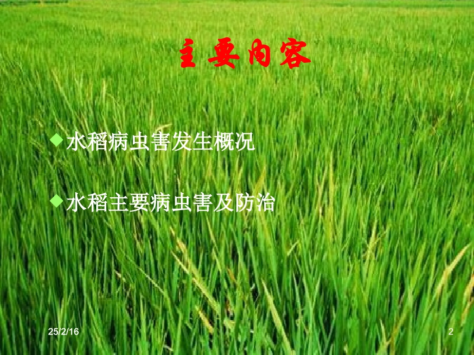 水稻病虫害防治_第2页