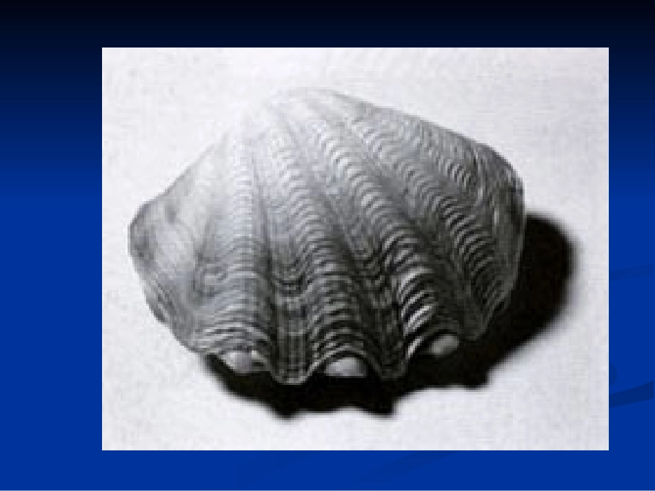 立体构成——面_第3页