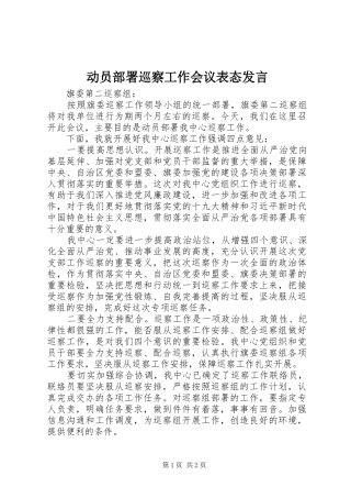 动员部署巡察工作会议表态发言