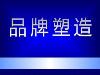 营销--市场总监培训教材集锦--品牌塑造课件