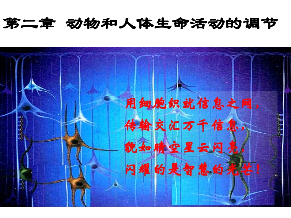 通过神经系统的调节ppt_第1页