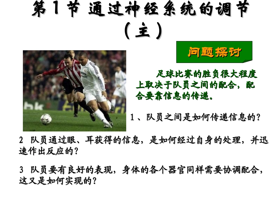 通过神经系统的调节ppt_第2页