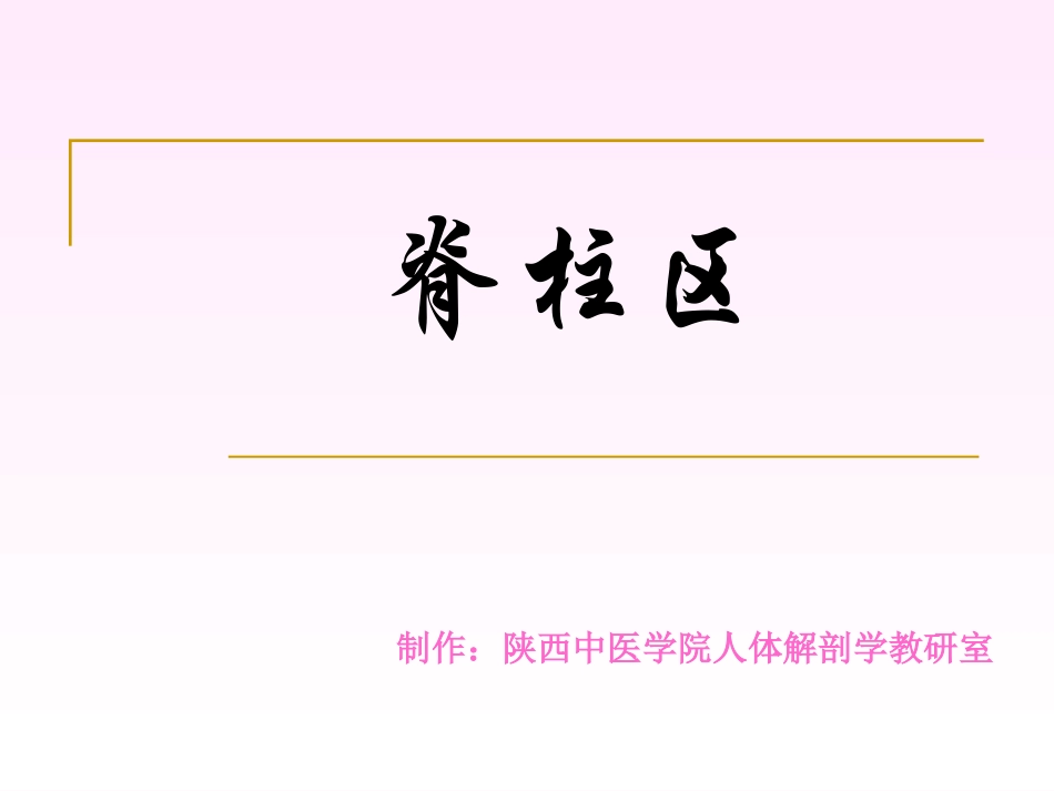 脊柱区解剖图_第1页