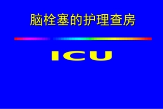脑栓塞护理查房