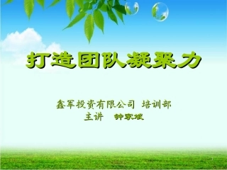 团队凝聚力培训ppt[1]