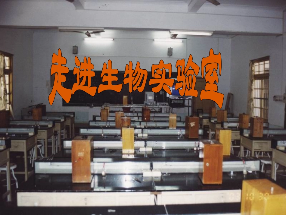 生物学的基本研究方法1_第2页