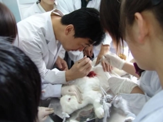 生物学的基本研究方法1