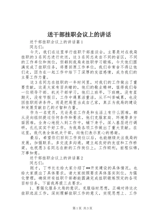 送干部挂职会议上的讲话