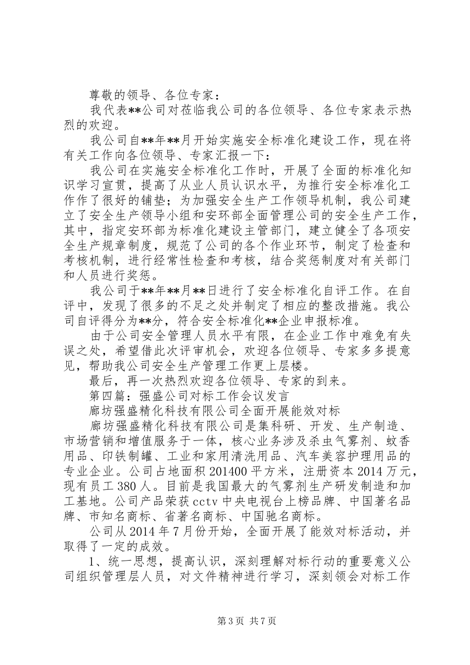 公司会议发言(精选多篇)_第3页