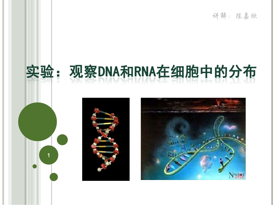 实验三：观察DNA和RNA在细胞中的分布-X_第1页