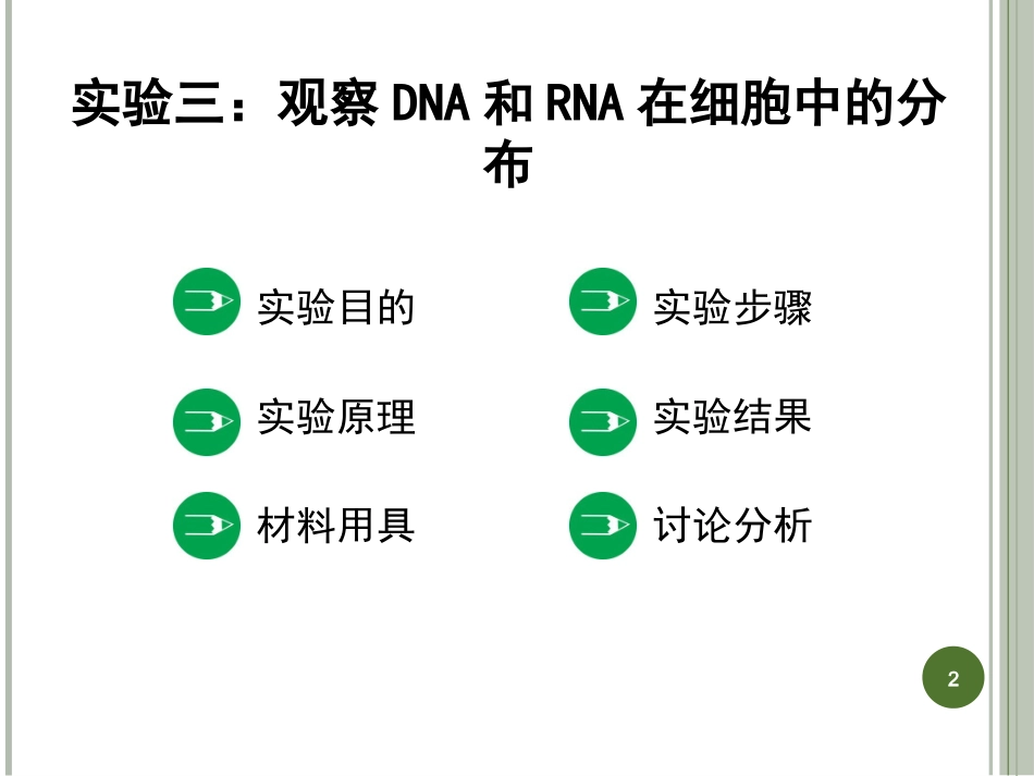 实验三：观察DNA和RNA在细胞中的分布-X_第2页