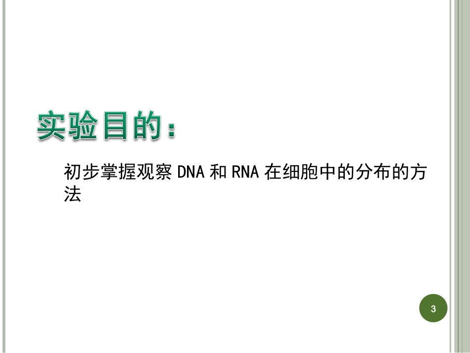 实验三：观察DNA和RNA在细胞中的分布-X_第3页