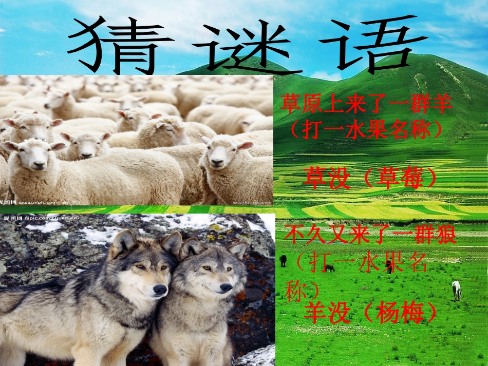 苏教版小学科学六年级下册《有趣的食物链》课件_第2页