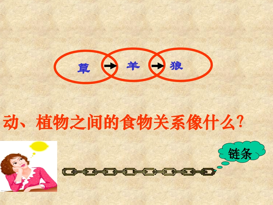 苏教版小学科学六年级下册《有趣的食物链》课件_第3页