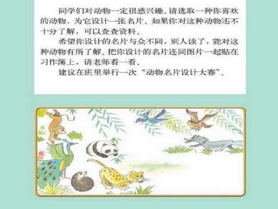 为动物设计名片_第3页