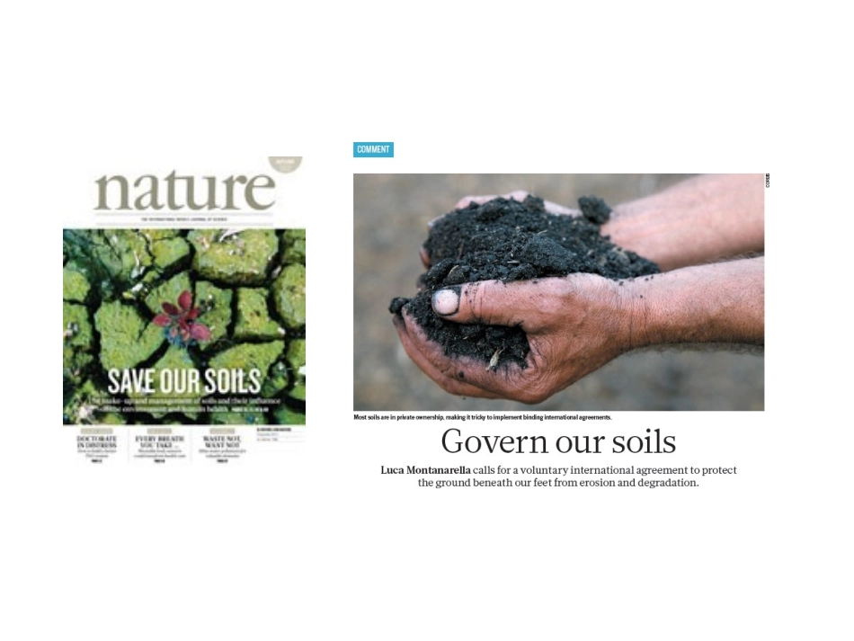 新型肥料---有机碳肥_第3页