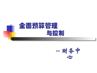预算解析PPT