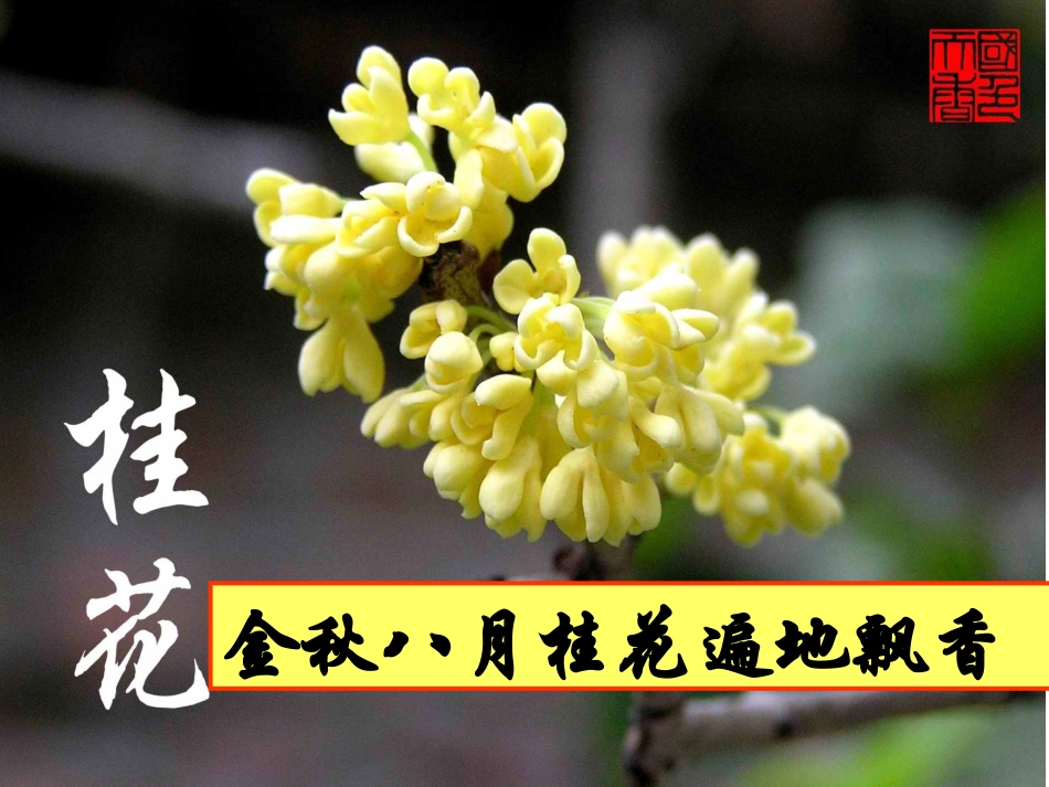 人教版九年级化学上册教学课件《第三单元课题1_分子和原子》_第2页