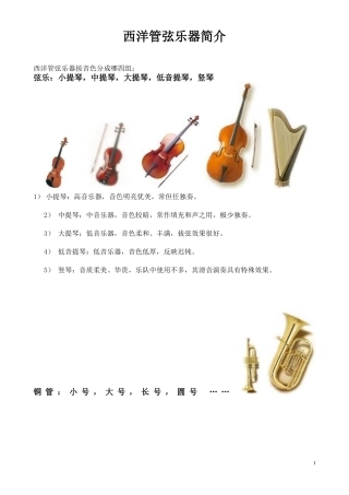 西洋管弦乐器介绍
