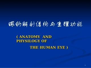 眼的解剖结构与生理功能