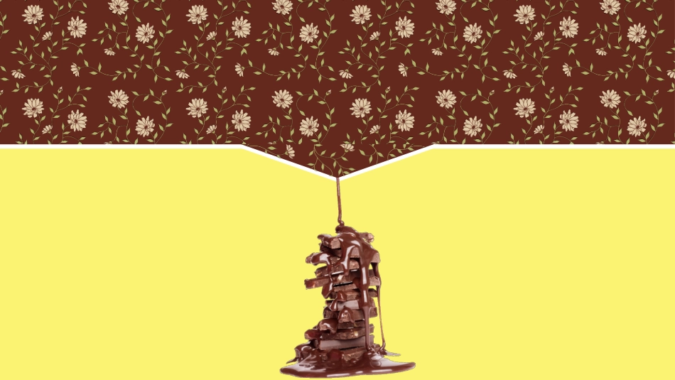 品牌介绍ppt模板_第1页