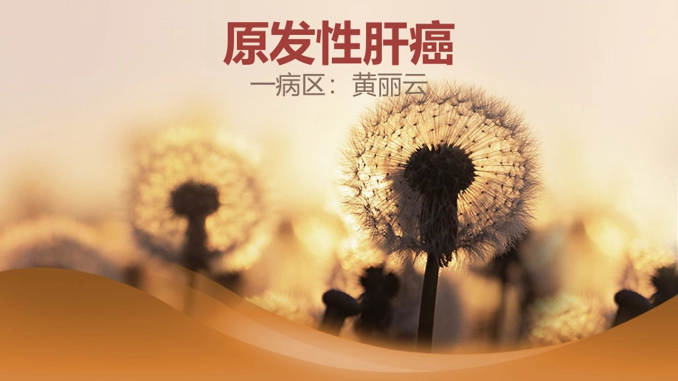 肝癌护理查房 幻灯片_第1页