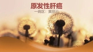 肝癌护理查房 幻灯片