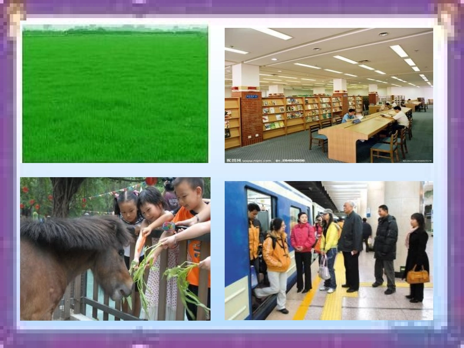 社会生活中的规则_第2页