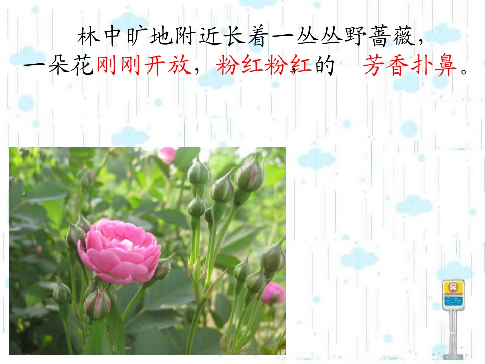 我不是最弱小的课件ppt1_第2页