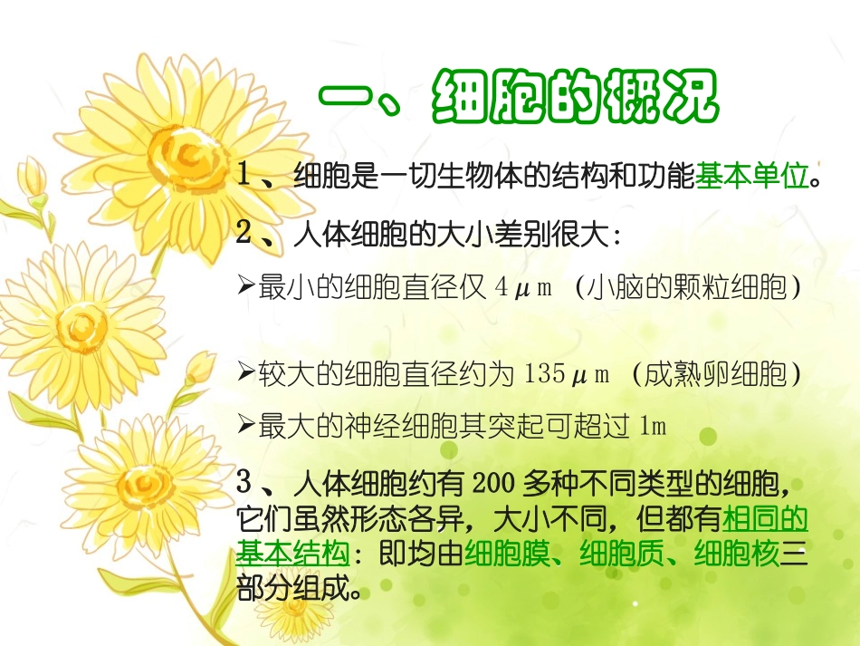 正常人体结构-细胞_第3页