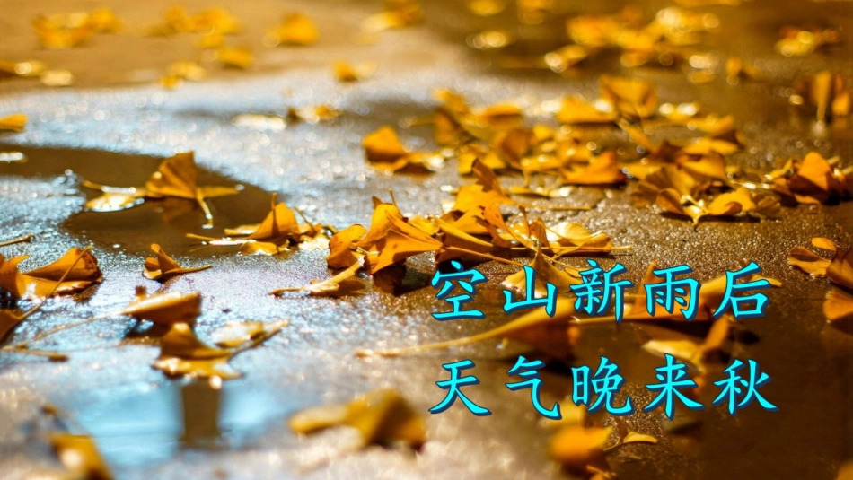 人教版部编版三年级上册语文5 铺满金色巴掌的水泥道_第1页