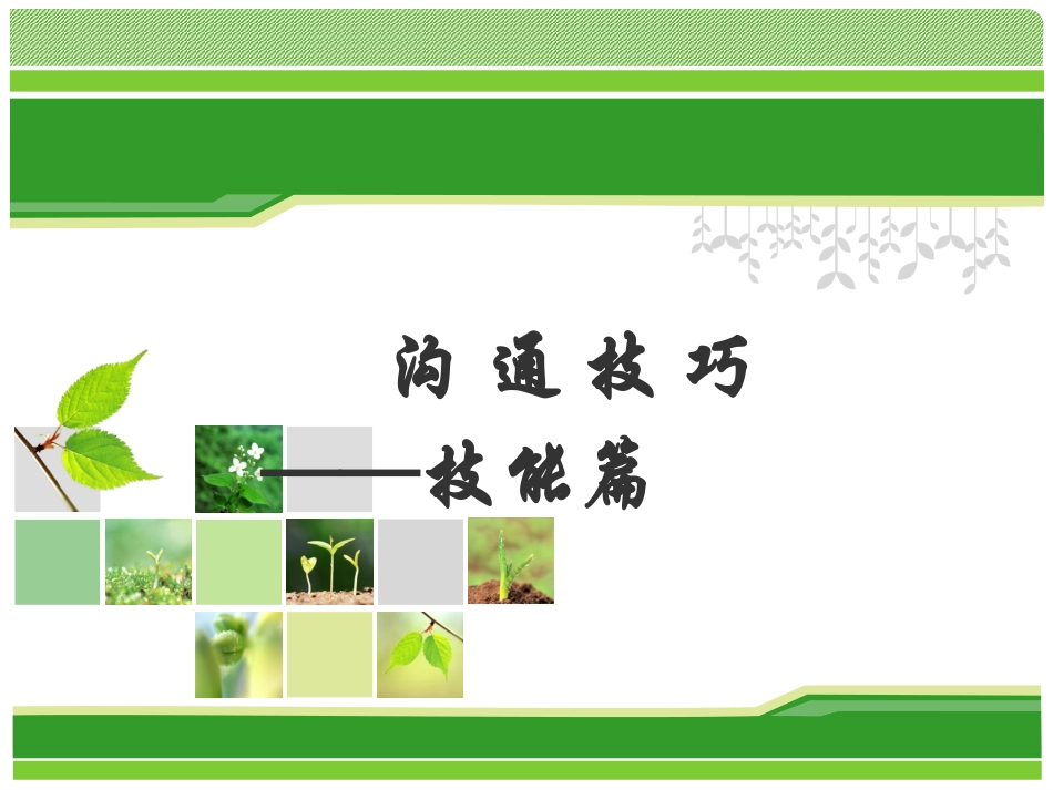 沟通技巧—说的技巧_第1页