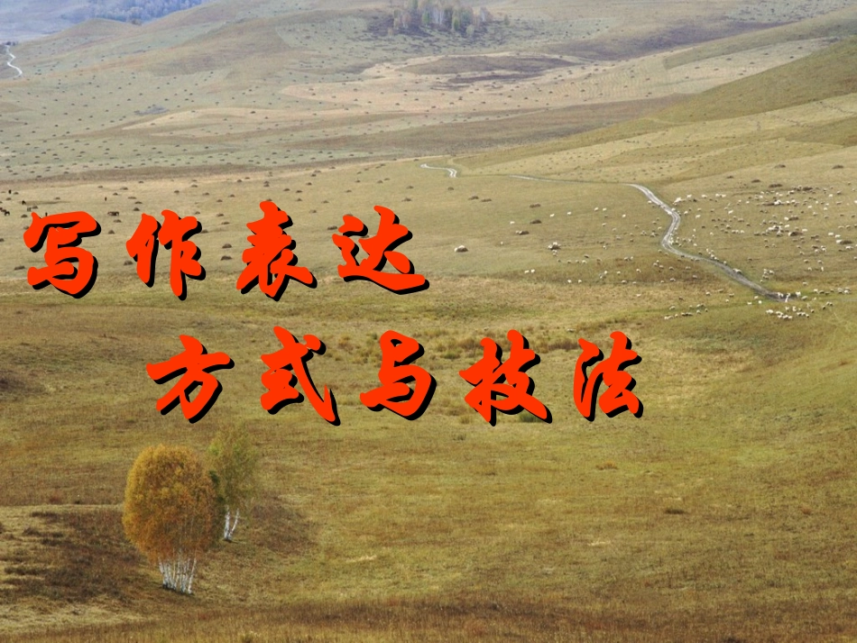 写作表达方式与技法_第1页