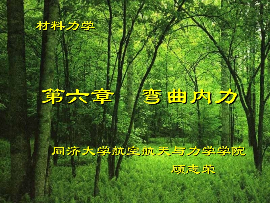 同济大学材料力学第六章  弯曲内力_第2页