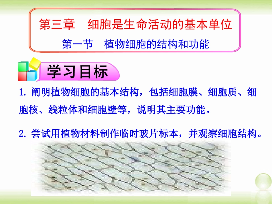 苏教版七年级上册植物细胞的结构与功能_第1页